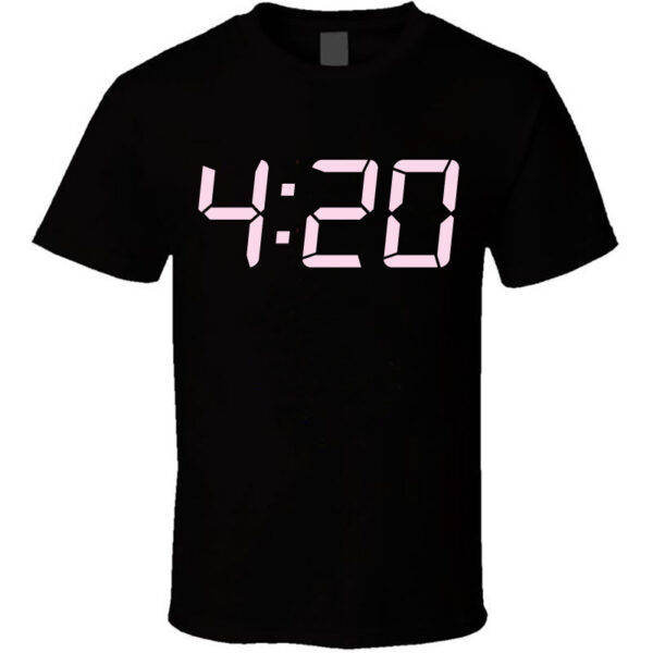 Polo 420