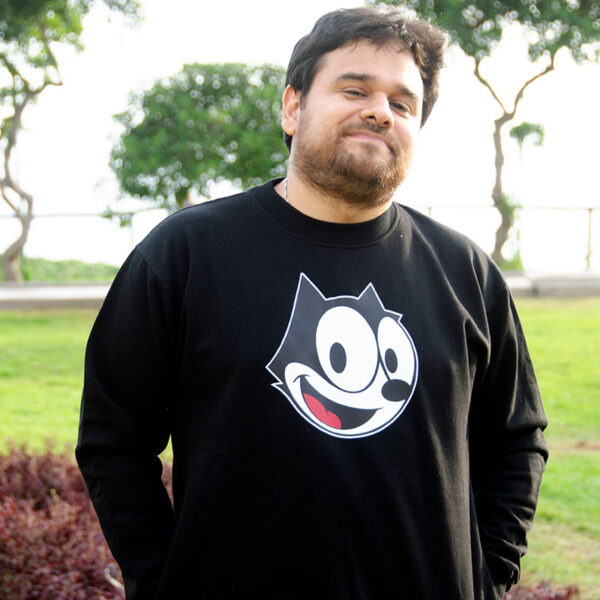 gato felix